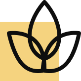 One-Stop Outsourcing Solution